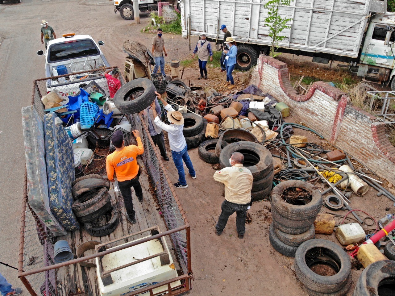 thumbnail_24.07.20 Concluye jornada de descacharrización en Bachigualato con 15 toneladas de cacharros recolectadas (6)